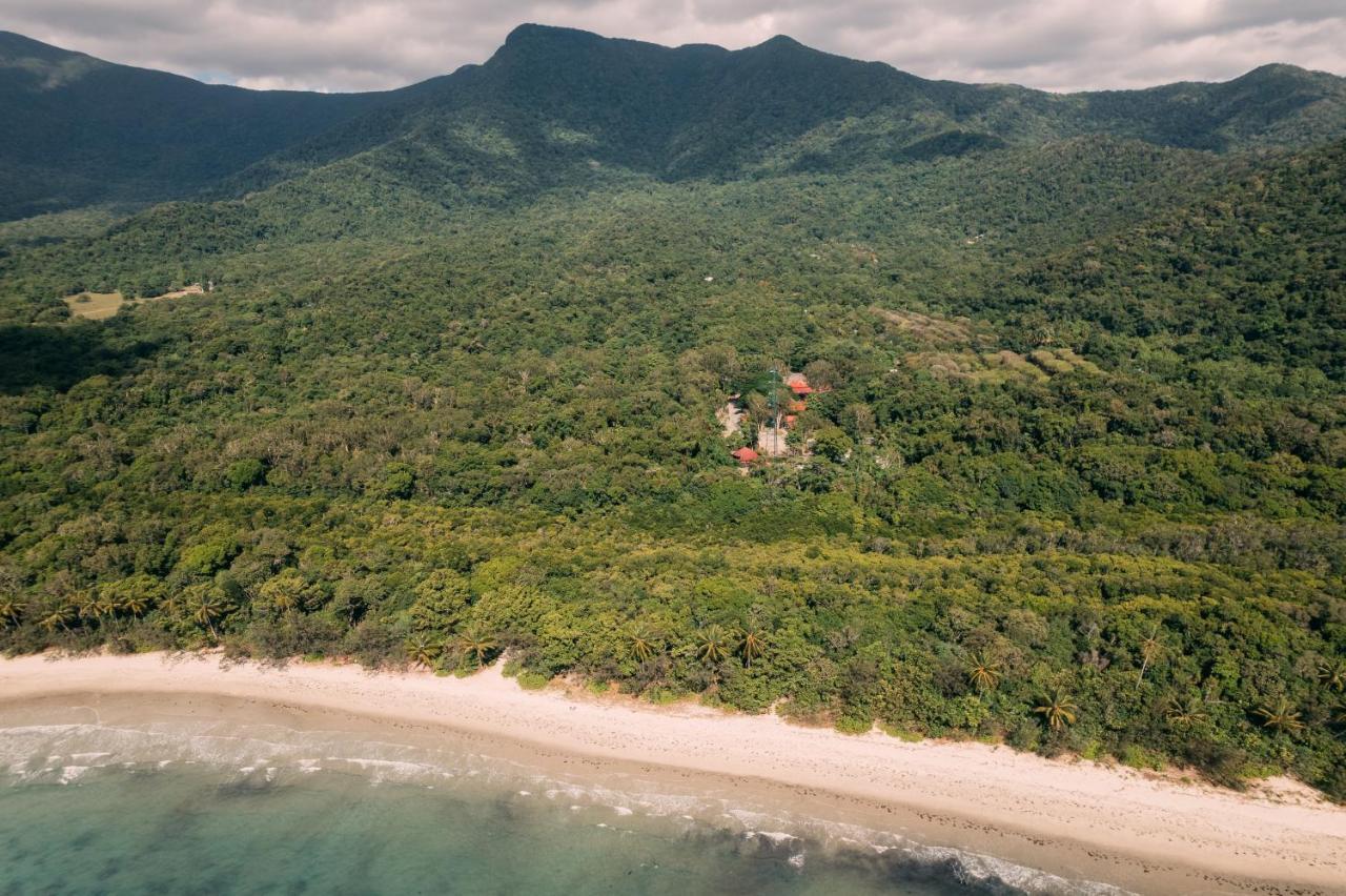 Pk'S Jungle Village Cape Tribulation Extérieur photo