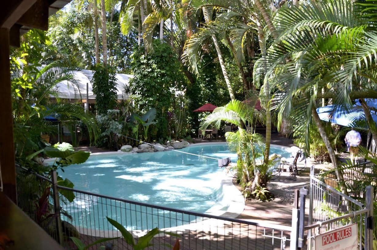 Pk'S Jungle Village Cape Tribulation Extérieur photo