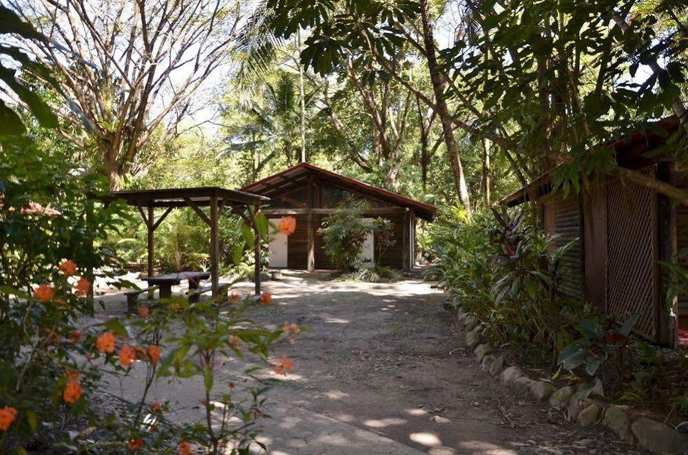 Pk'S Jungle Village Cape Tribulation Extérieur photo